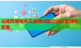 汕尾跨境電商實戰(zhàn)培訓助力企業(yè)全球化發(fā)展