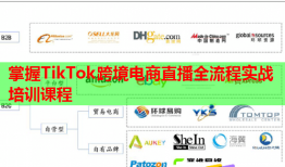 掌握TikTok跨境電商直播全流程實(shí)戰(zhàn)培訓(xùn)課程