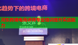 河?xùn)|跨境電商講師專業(yè)培訓(xùn)提升實戰(zhàn)能力