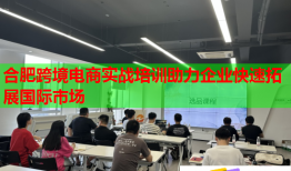 合肥跨境電商實戰(zhàn)培訓(xùn)助力企業(yè)快速拓展國際市場