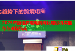 2025年最佳跨境電商孵化培訓(xùn)機(jī)構(gòu)推薦與選擇指南