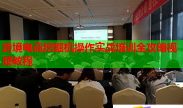跨境電商挖掘機(jī)操作實戰(zhàn)培訓(xùn)全攻略視頻教程