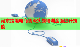 河?xùn)|跨境電商初級(jí)實(shí)戰(zhàn)培訓(xùn)全面提升技能