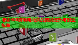 培訓(xùn)900跨境電商實(shí)戰(zhàn)技能提升與創(chuàng)業(yè)指導(dǎo)