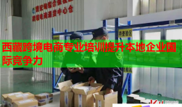 西藏跨境電商專業(yè)培訓(xùn)提升本地企業(yè)國(guó)際競(jìng)爭(zhēng)力