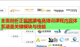 全面剖析正規(guī)跨境電商培訓課程內(nèi)容體系涵蓋關(guān)鍵模塊與技能
