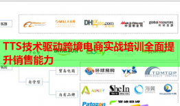 TTS技術(shù)驅(qū)動(dòng)跨境電商實(shí)戰(zhàn)培訓(xùn)全面提升銷(xiāo)售能力