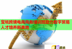 寶坻跨境電商商務(wù)培訓(xùn)班助力數(shù)字貿(mào)易人才培養(yǎng)新高地