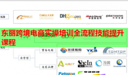 東麗跨境電商實(shí)操培訓(xùn)全流程技能提升課程