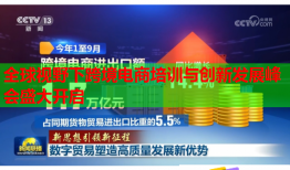 全球視野下跨境電商培訓(xùn)與創(chuàng)新發(fā)展峰會盛大開啟