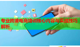 專(zhuān)業(yè)跨境電商培訓(xùn)核心內(nèi)容與實(shí)戰(zhàn)技巧解析