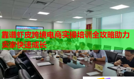 靠譜蝦皮跨境電商實操培訓(xùn)全攻略助力賣家快速成長