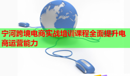 寧河跨境電商實戰(zhàn)培訓課程全面提升電商運營能力