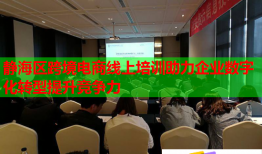 靜海區(qū)跨境電商線上培訓助力企業(yè)數字化轉型提升競爭力