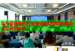 永年跨境電商實(shí)戰(zhàn)培訓(xùn)助力企業(yè)快速出海與轉(zhuǎn)型升級(jí)