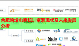 合肥跨境電商培訓(xùn)資源現(xiàn)狀及未來發(fā)展分析