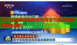 為什么選擇培訓跨境電商成為職業(yè)發(fā)展的最佳路徑