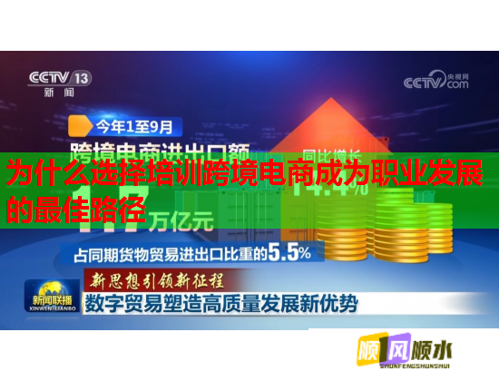 為什么選擇培訓跨境電商成為職業(yè)發(fā)展的最佳路徑