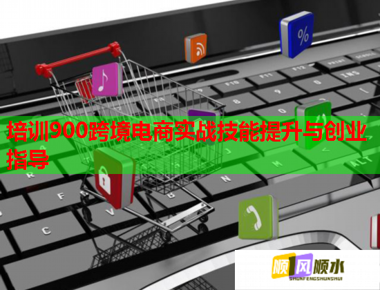 培訓(xùn)900跨境電商實戰(zhàn)技能提升與創(chuàng)業(yè)指導(dǎo) 培訓(xùn)900跨境電商實戰(zhàn)技能提升與創(chuàng)業(yè)指導(dǎo)