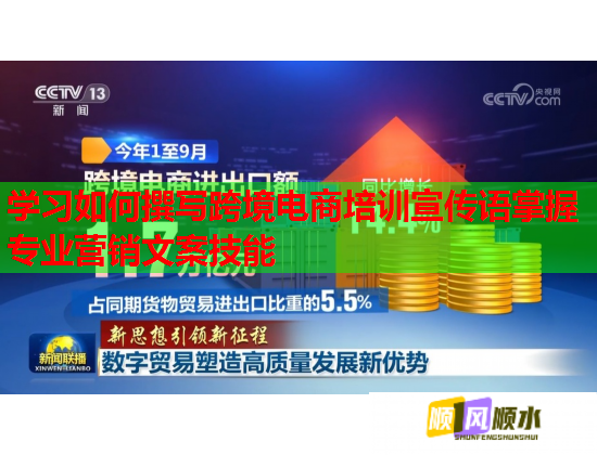 學(xué)習(xí)如何撰寫跨境電商培訓(xùn)宣傳語掌握專業(yè)營銷文案技能