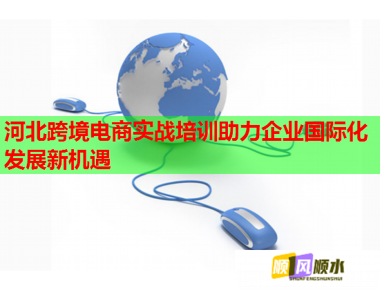 河北跨境電商實(shí)戰(zhàn)培訓(xùn)助力企業(yè)國際化發(fā)展新機(jī)遇