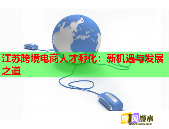 江蘇跨境電商人才孵化：新機遇與發(fā)展之道