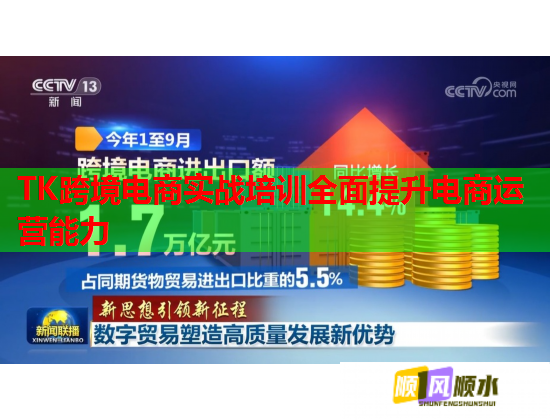 TK跨境電商實(shí)戰(zhàn)培訓(xùn)全面提升電商運(yùn)營(yíng)能力