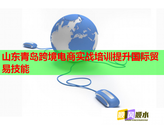 山東青島跨境電商實戰(zhàn)培訓提升國際貿(mào)易技能