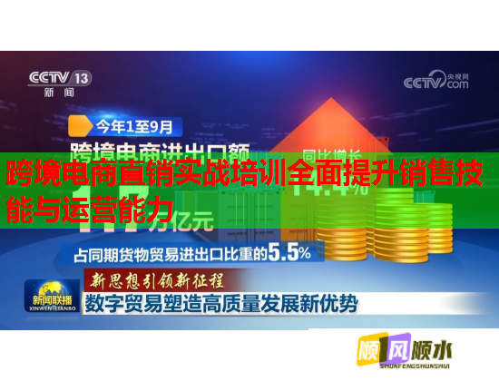 跨境電商直銷實戰(zhàn)培訓(xùn)全面提升銷售技能與運營能力