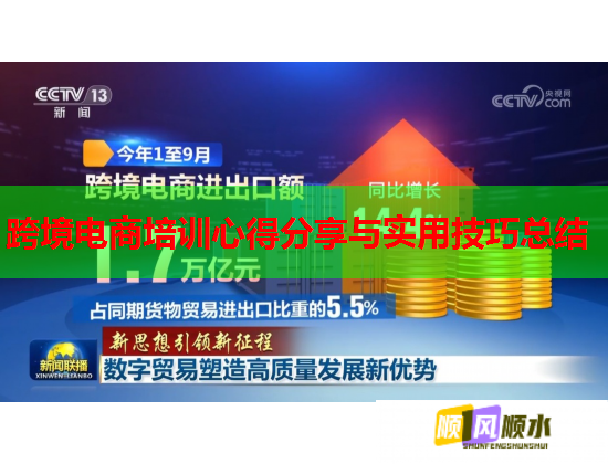 跨境電商培訓(xùn)心得分享與實(shí)用技巧總結(jié)