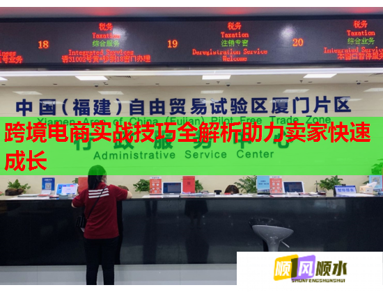 跨境電商實(shí)戰(zhàn)技巧全解析助力賣家快速成長(zhǎng)