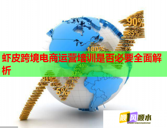 蝦皮跨境電商運營培訓(xùn)是否必要全面解析