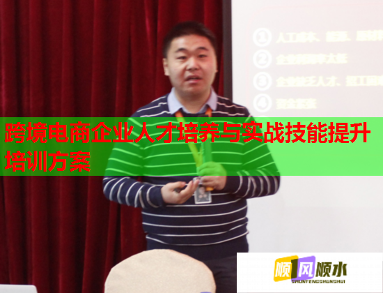 跨境電商企業(yè)人才培養(yǎng)與實(shí)戰(zhàn)技能提升培訓(xùn)方案