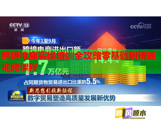 跨境電商實操培訓(xùn)全攻略零基礎(chǔ)到精通視頻課程 跨境電商實操培訓(xùn)全攻略零基礎(chǔ)到精通視頻課程