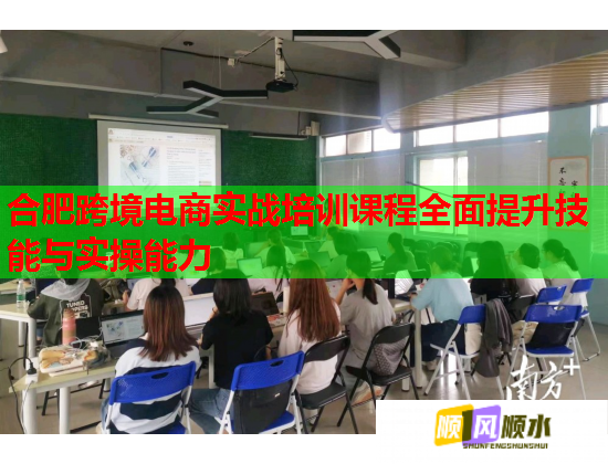 合肥跨境電商實戰(zhàn)培訓課程全面提升技能與實操能力