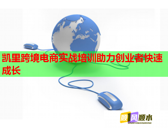 凱里跨境電商實(shí)戰(zhàn)培訓(xùn)助力創(chuàng)業(yè)者快速成長 凱里跨境電商實(shí)戰(zhàn)培訓(xùn)助力創(chuàng)業(yè)者快速成長