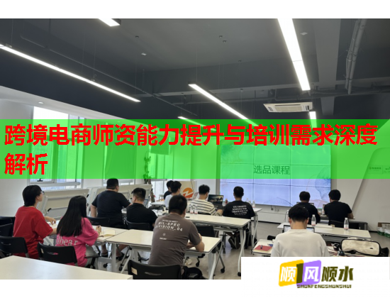 跨境電商師資能力提升與培訓(xùn)需求深度解析